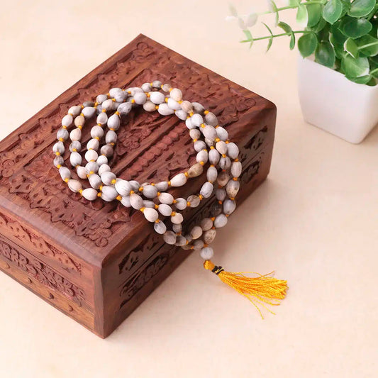 ABHIMANTRIT VAIJYANTI MALA